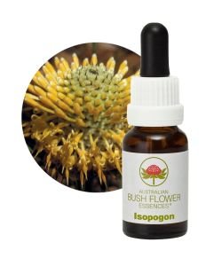 Isopogon, 15 ml